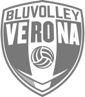 blu_volley.png