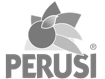 perusi.png